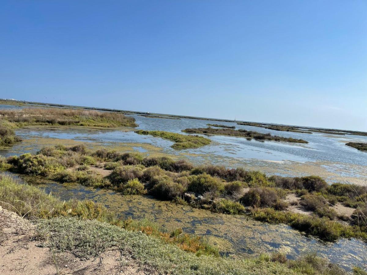 Вилла La Calma Del Delta L'Eucaliptus Экстерьер фото
